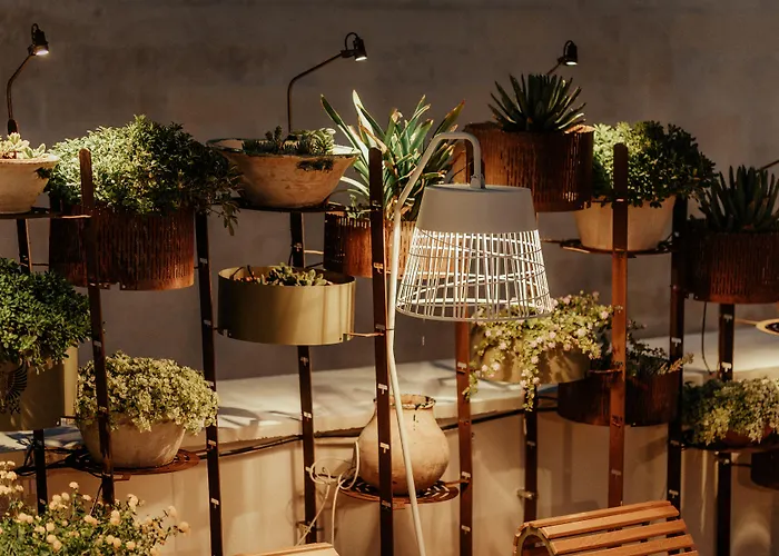 Pollicastro BoutiqueAlbergo